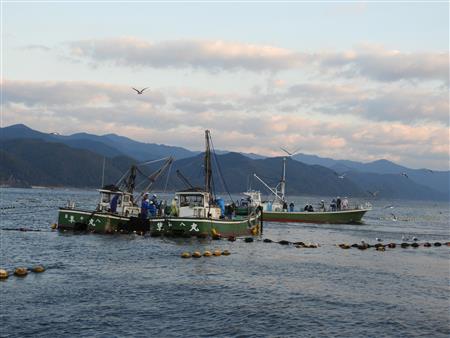 Shiina Fixed Net Fishing