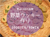野草クッキー作り　2000円/90分